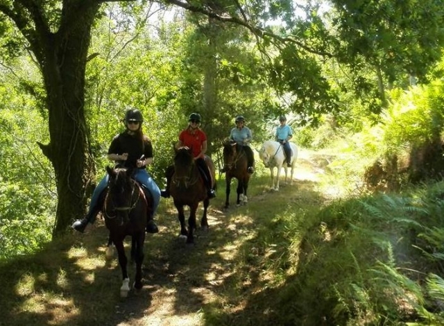 por nuestra mejor naturaleza